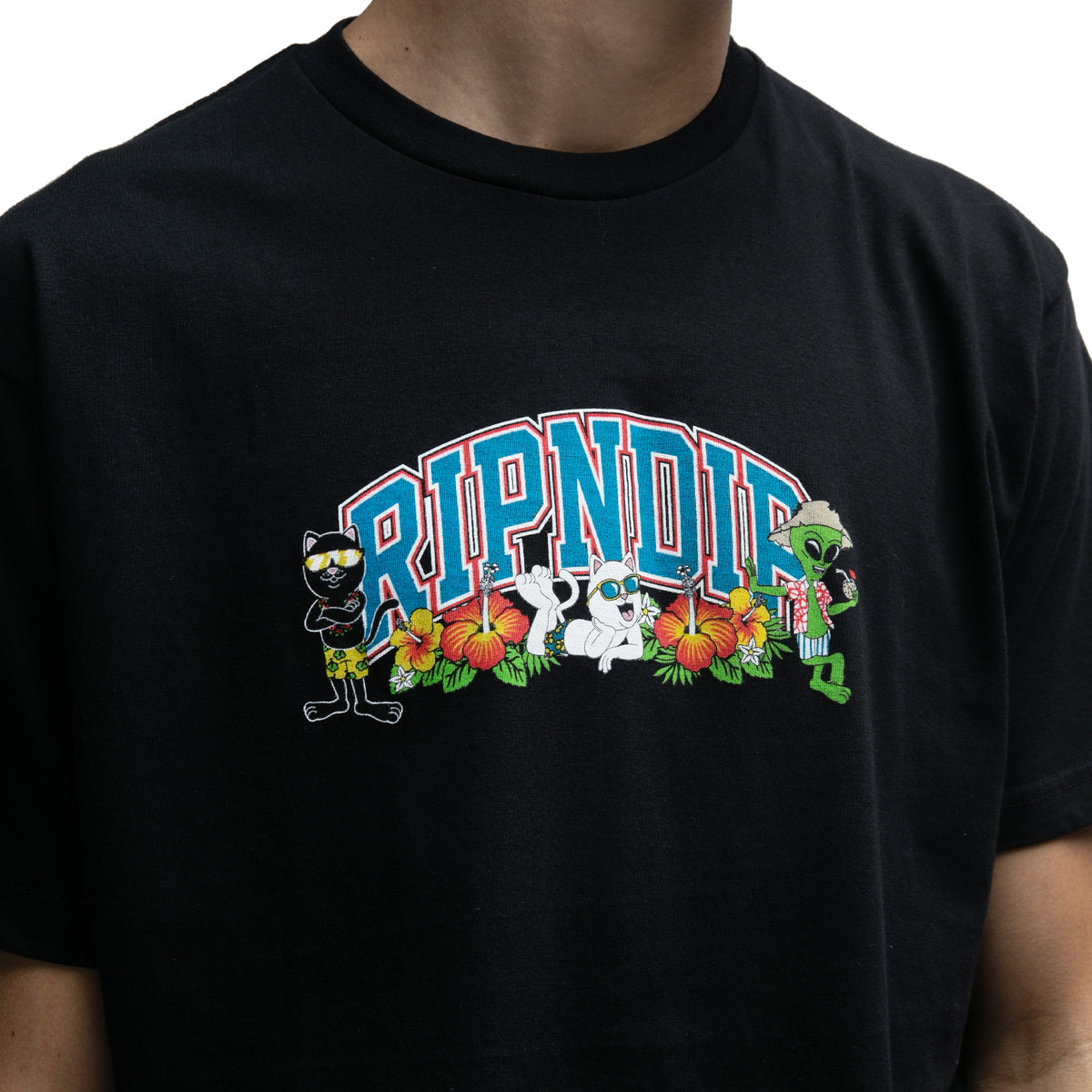 378612 Summer Friends Tee (Black)