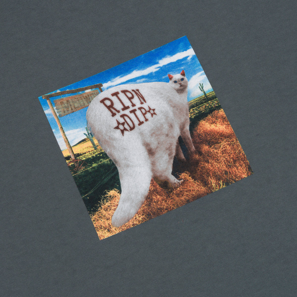 RIPNDIP Rowdy Howdy Tee (Charcoal)