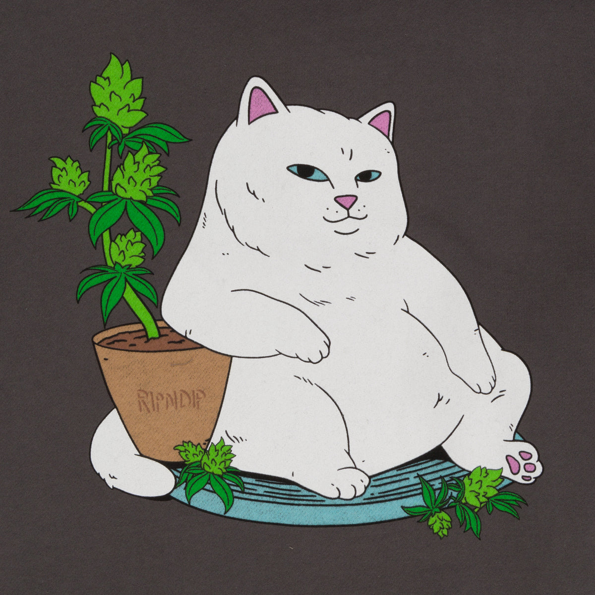 RIPNDIP Flower Boy Hoodie (Charcoal)