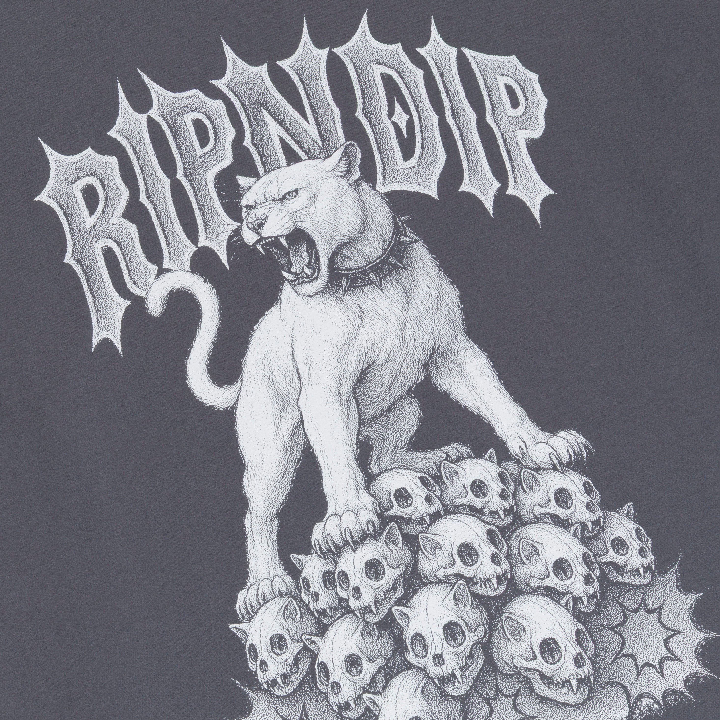 RIPNDIP Wasteland Tee (Charcoal)