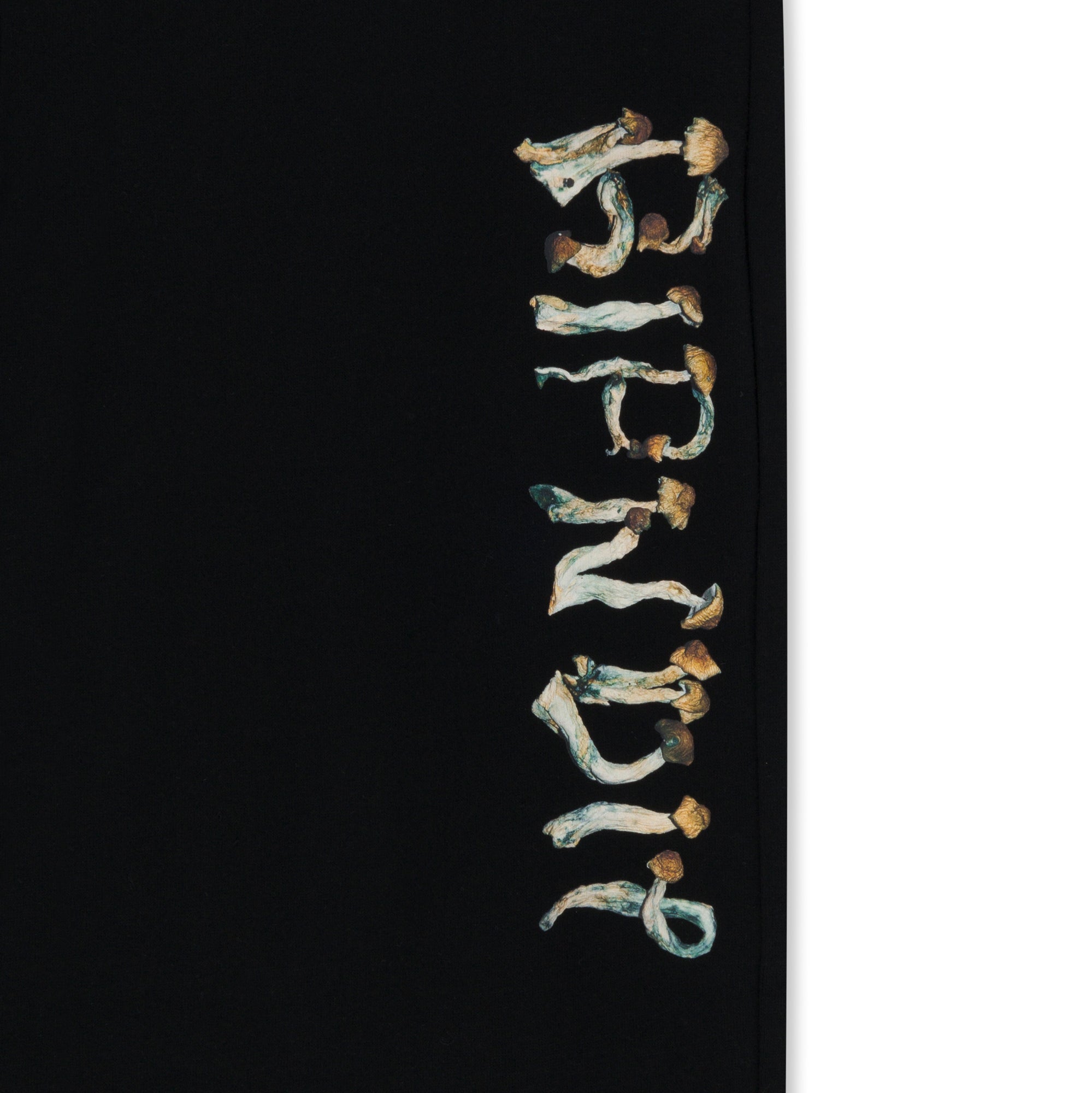 RIPNDIP Is This Real Life Sweatpants (Black)