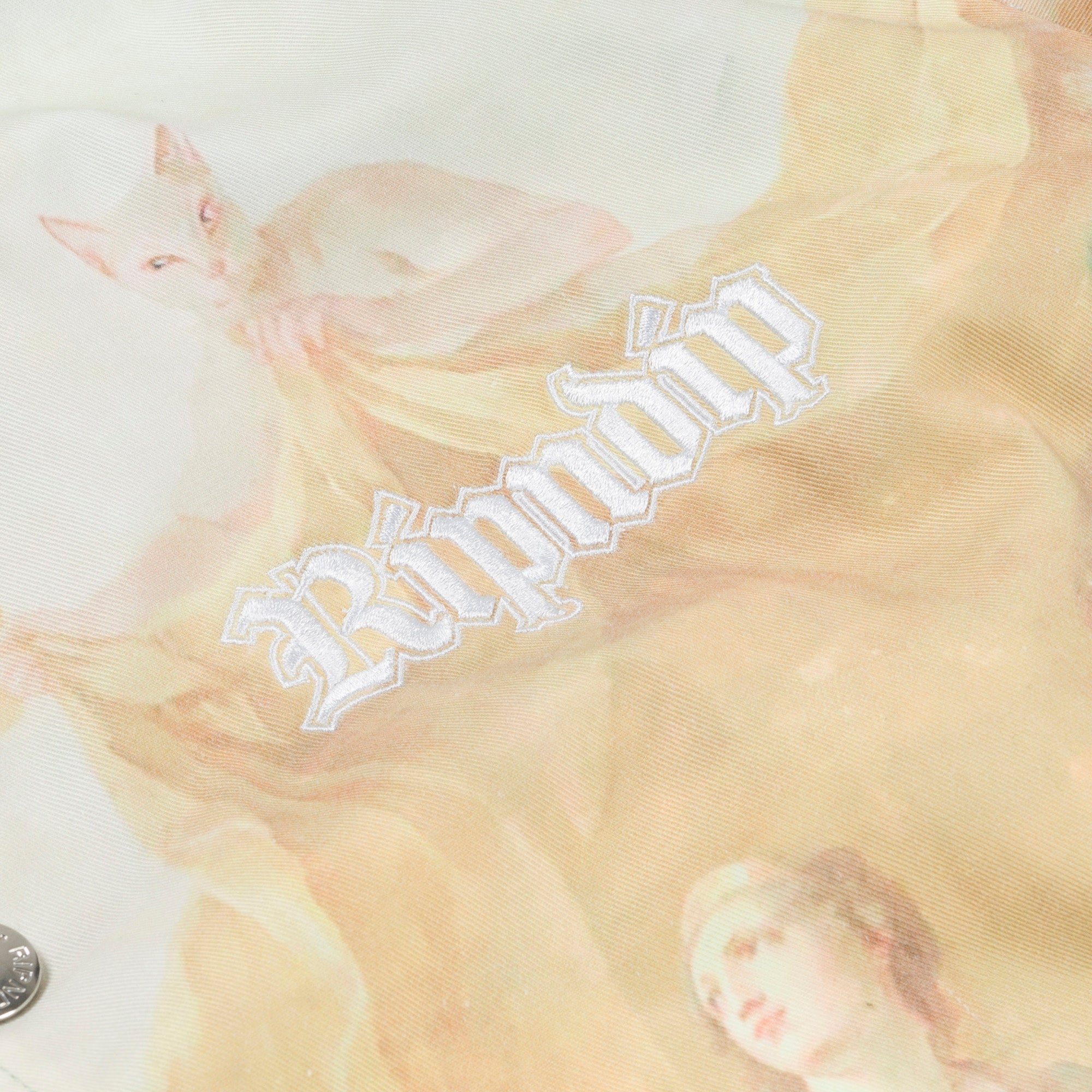 Heavens Waiting Button Up Jacket (Multi) – RIPNDIP