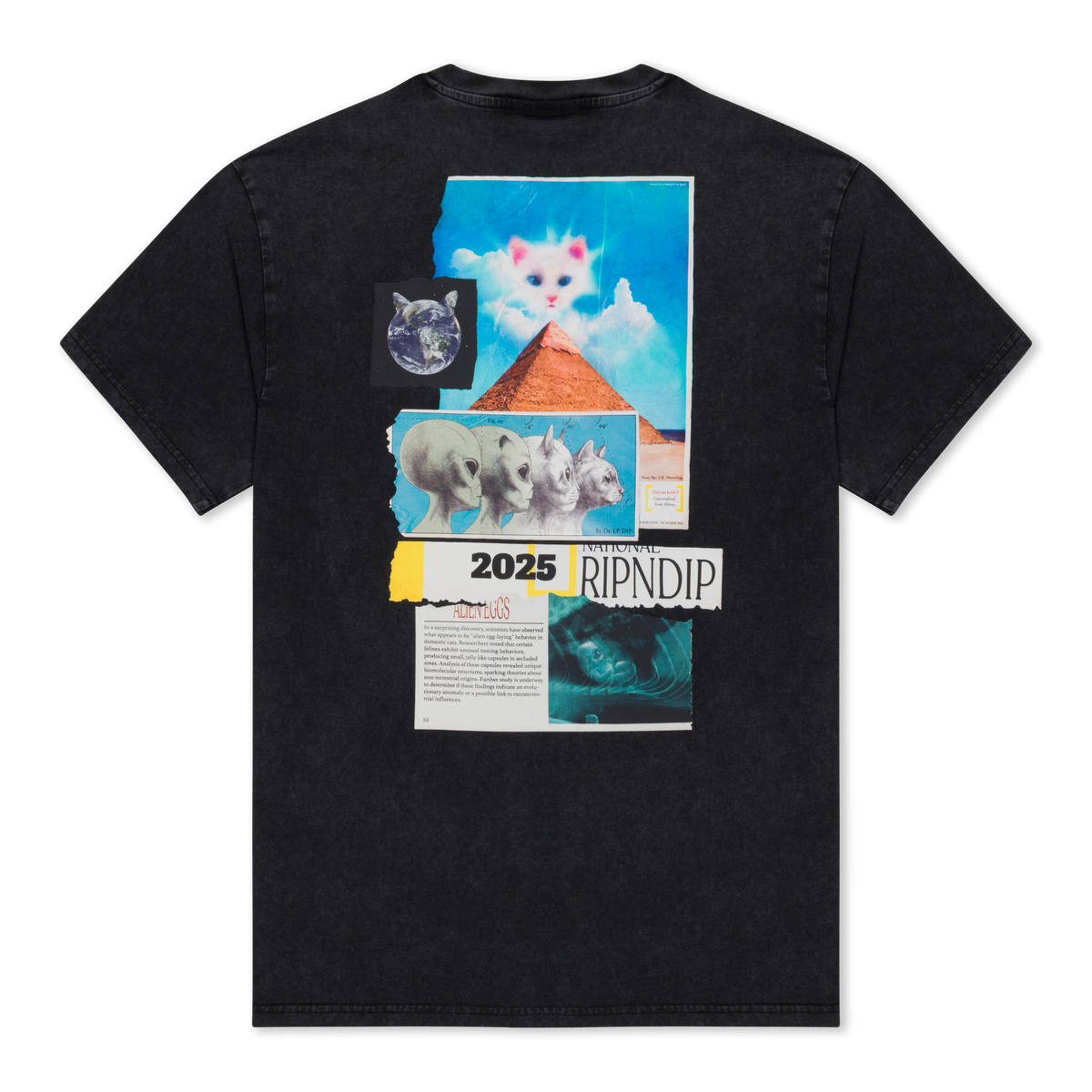 RIPNDIP Nerm Geo Tee (Black Vintage Wash)