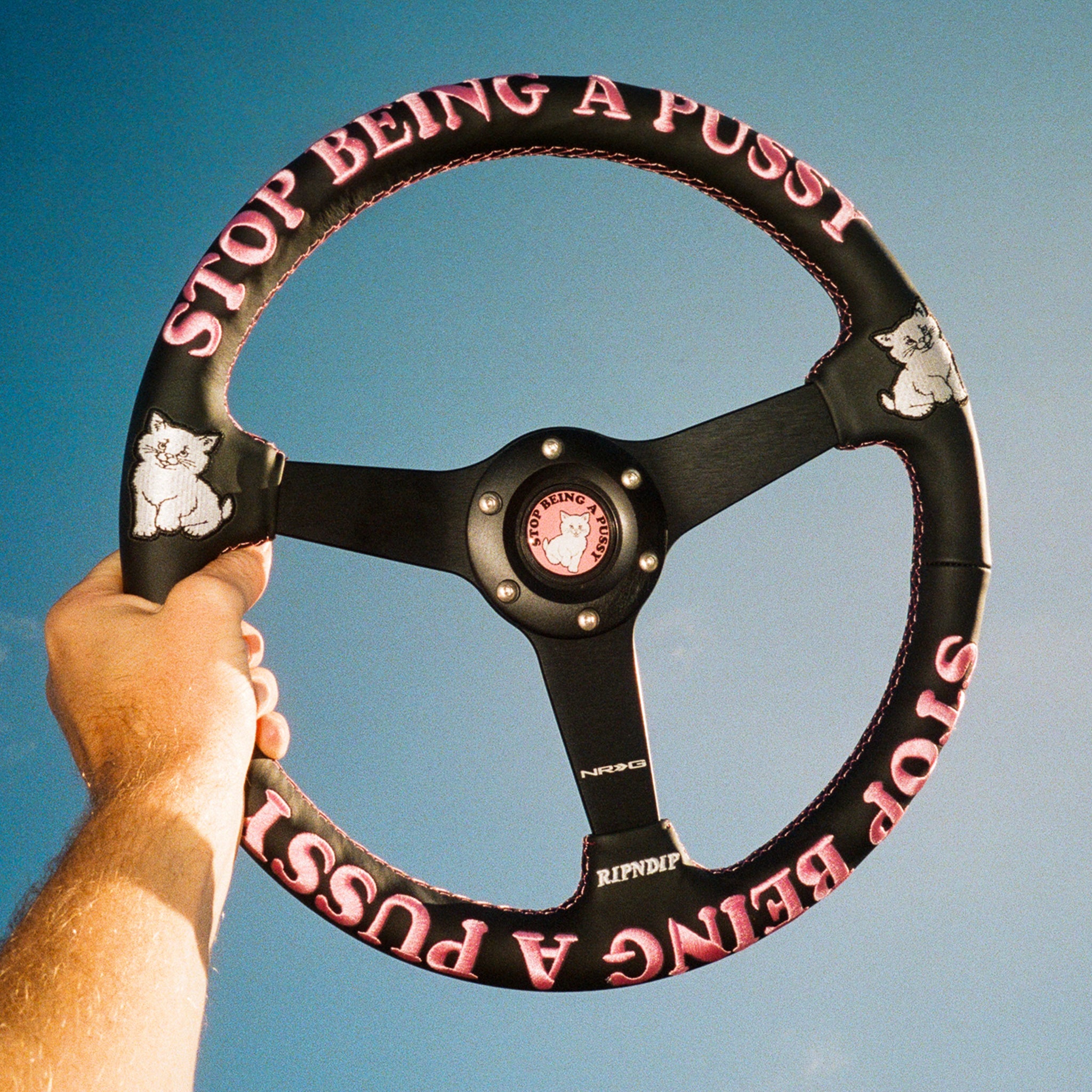 RIPNDIP Ripndip x NRG Stop Being A Pussy Steering Wheel (Leather)