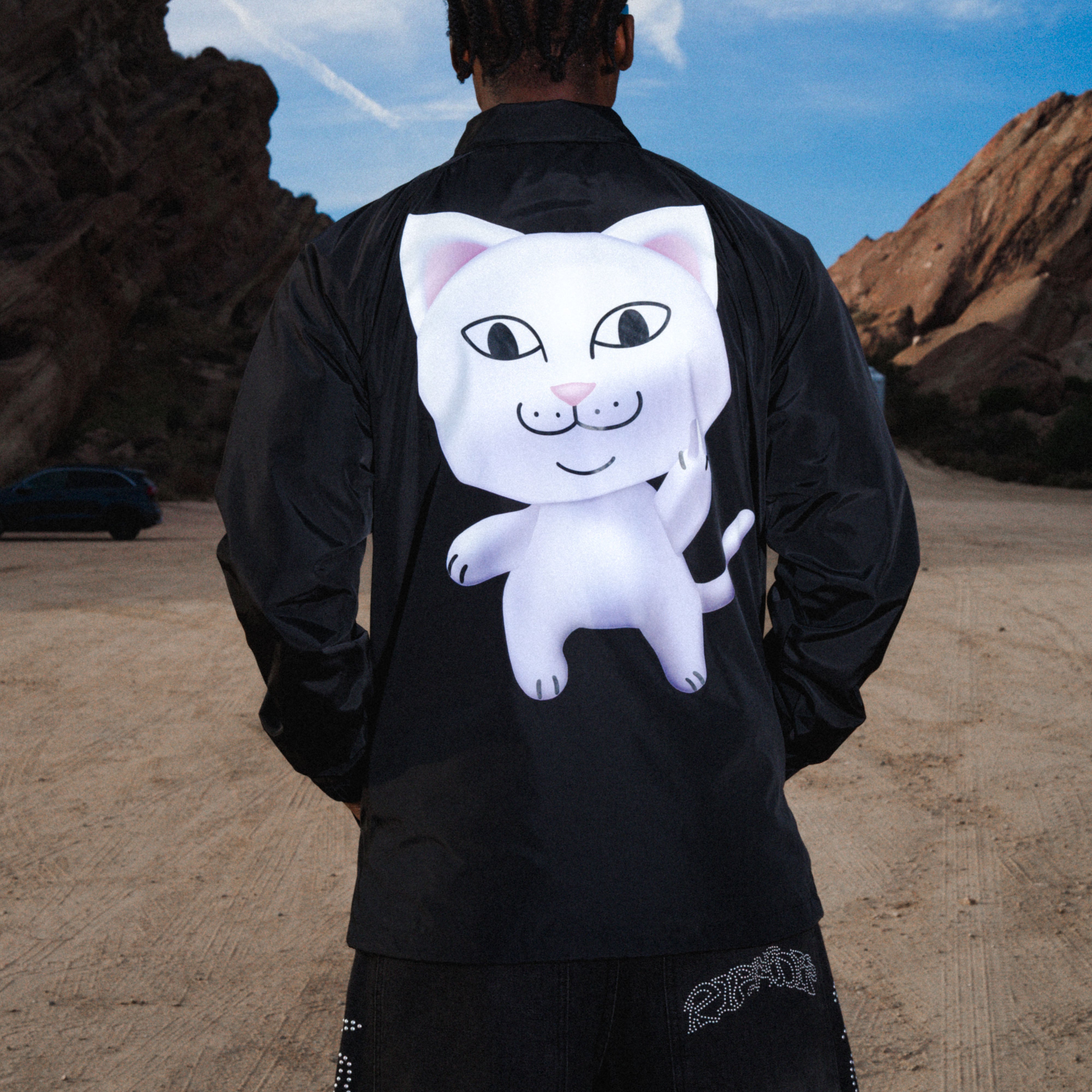 Coaches Jackets – RIPNDIP