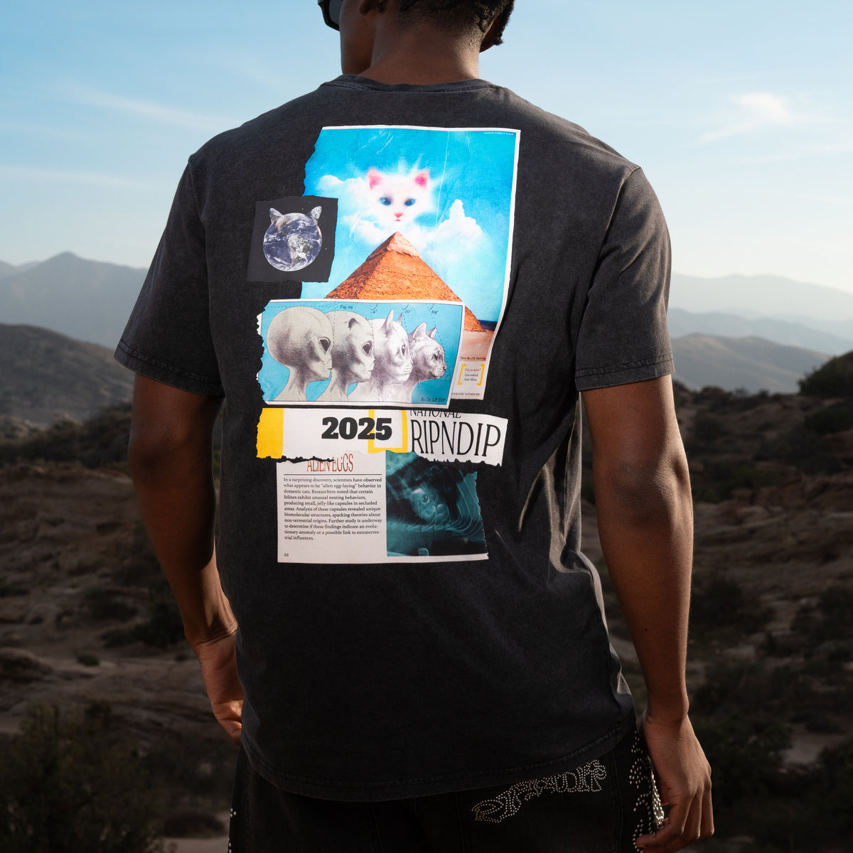 RIPNDIP Nerm Geo Tee (Black Vintage Wash)