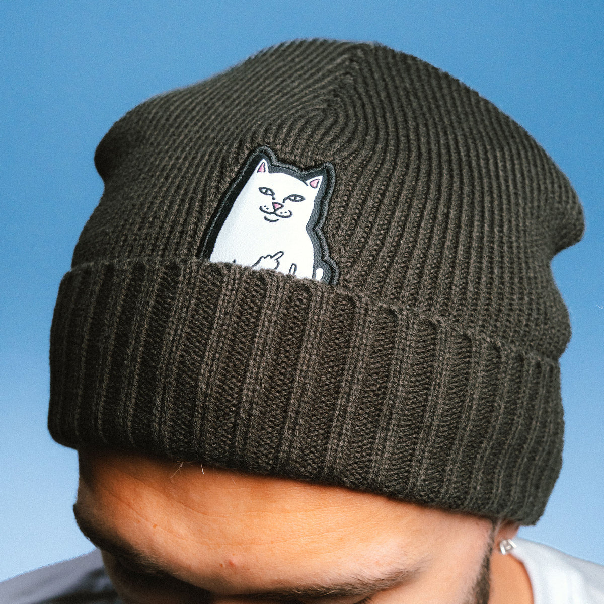RIPNDIP Lord Nermal Beanie (Dark Forest)