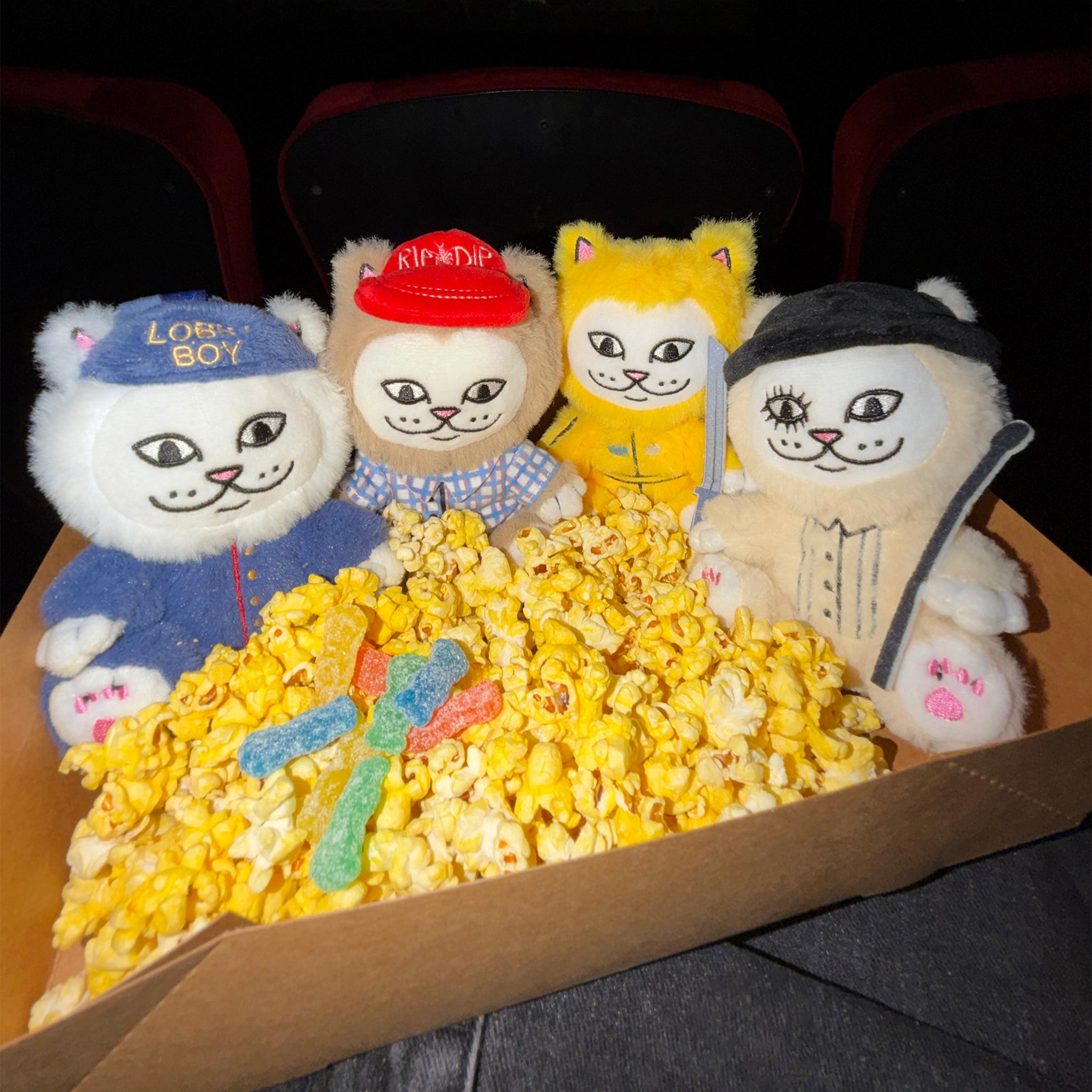 NERMIEES – RIPNDIP