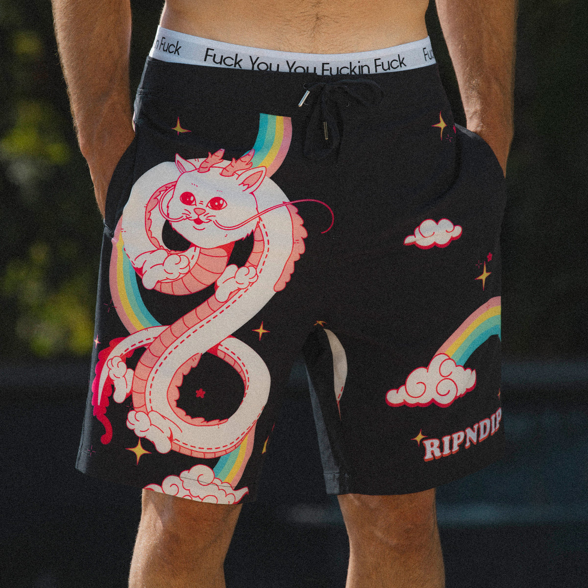 RIPNDIP Fantasy Nerm Swim Shorts (Black)