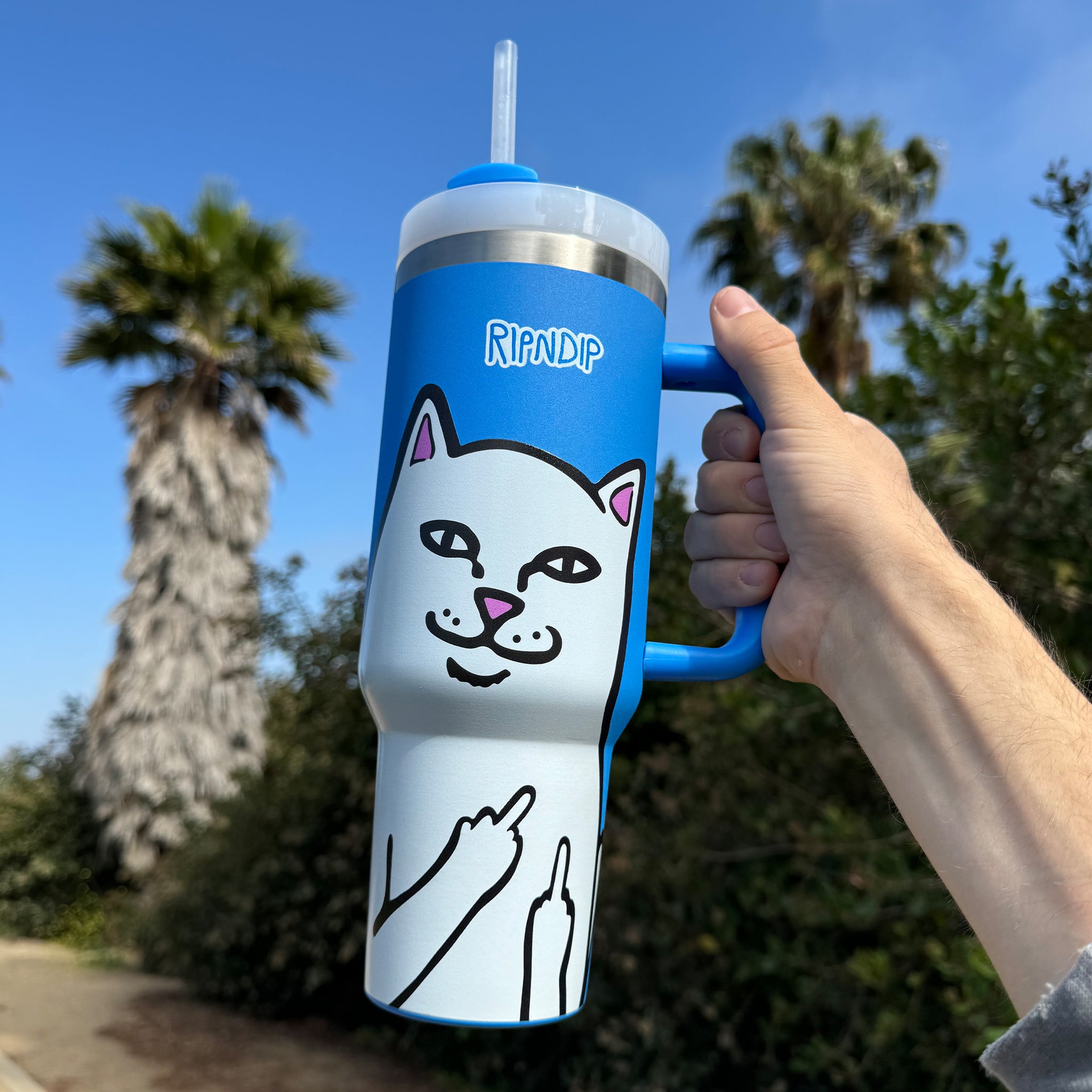 Lord Nermal Big Ol Cup Tumbler (Blue) – RIPNDIP