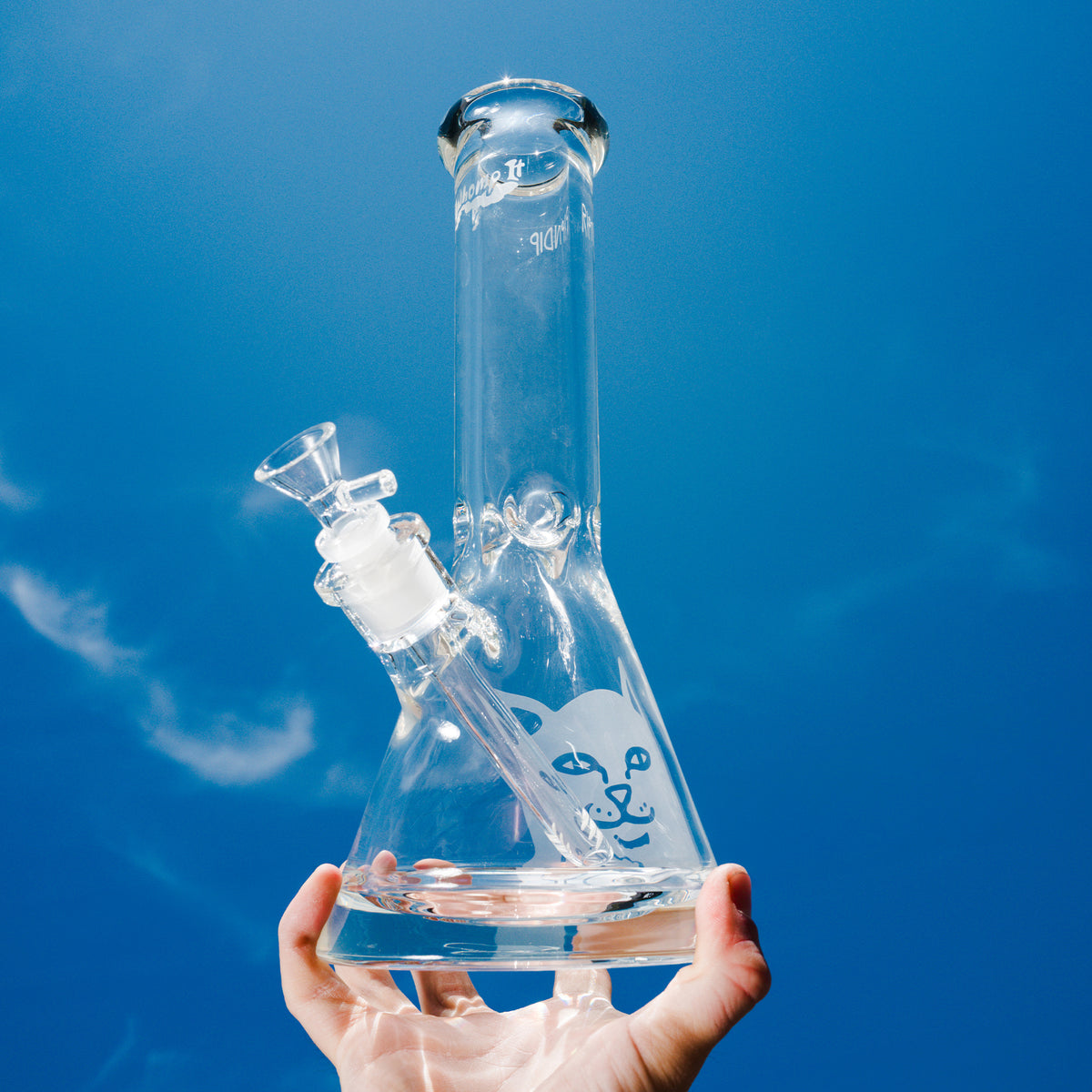 RIPNDIP Whomp It x Ripndip Lord Nermal Medium Beaker (Clear)