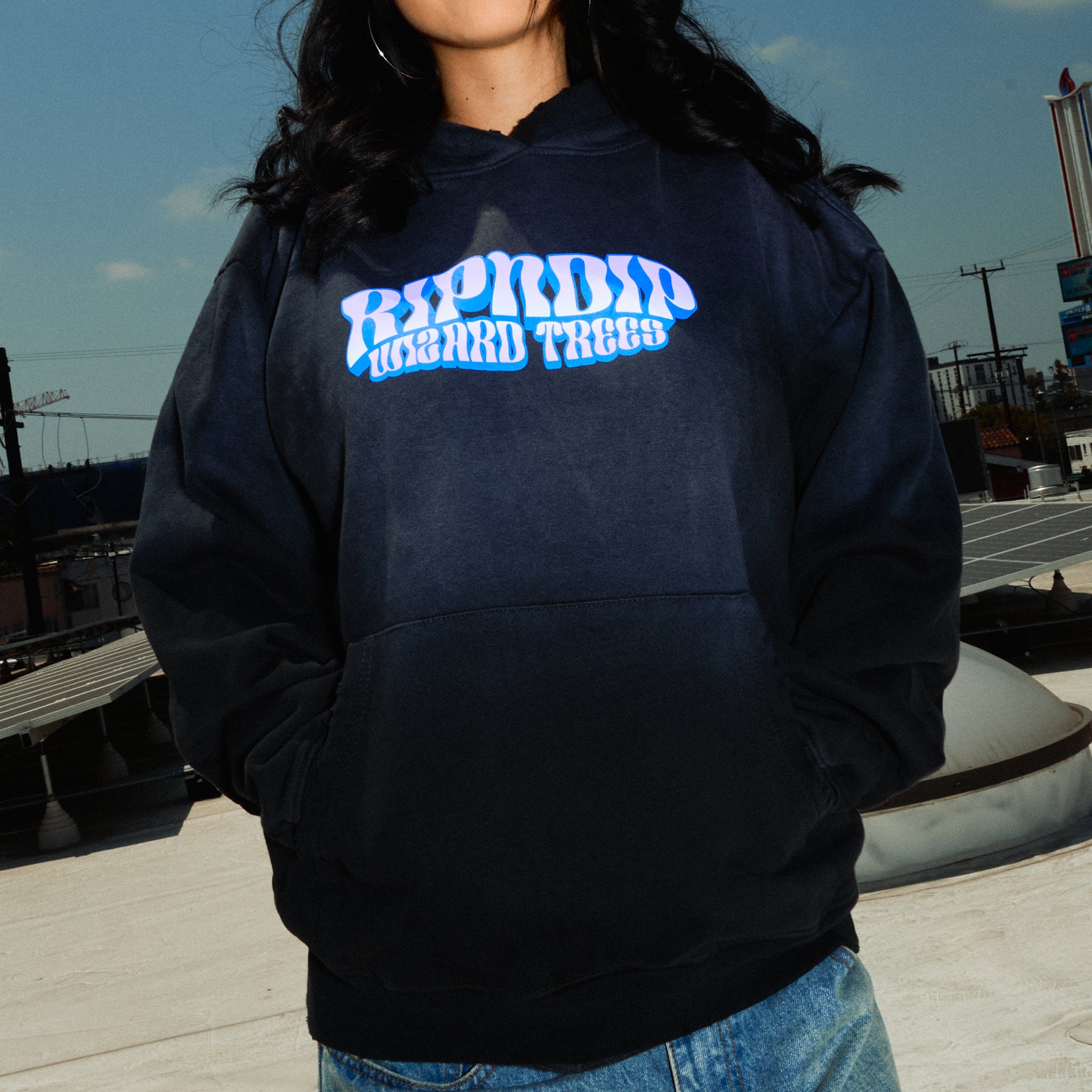 Ripndip Wizard Trees Riding High Hoodie (Washed Black)