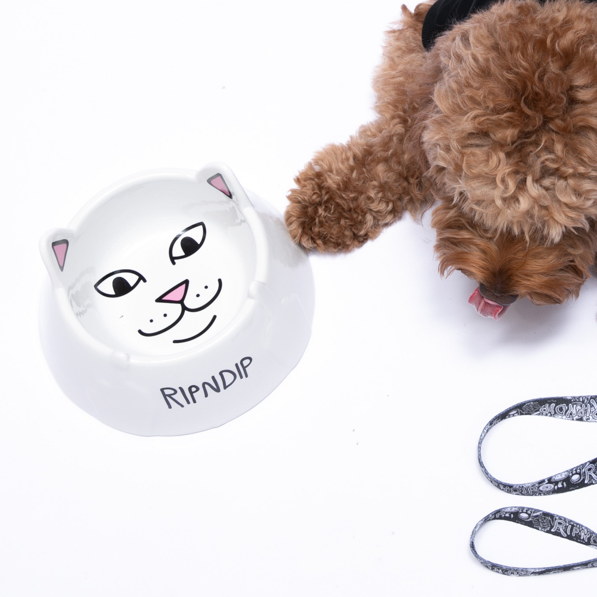 RIPNDIP Lord Nermal Pet Bowl (White)