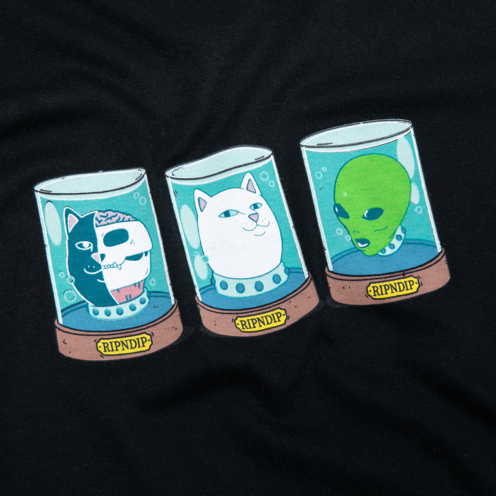 RIPNDIP Examination Observation Tee (Black)