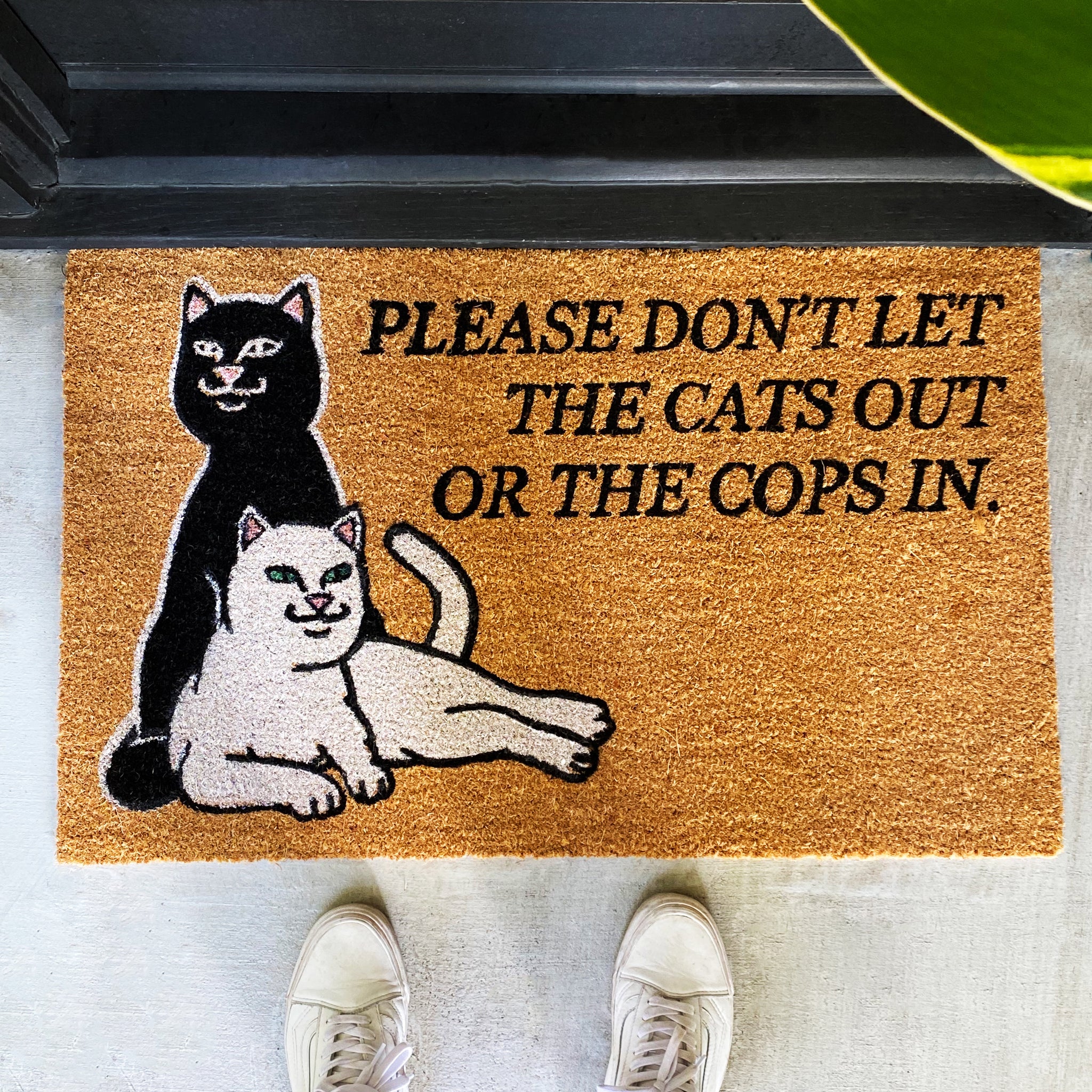 RUGS - RIPNDIP