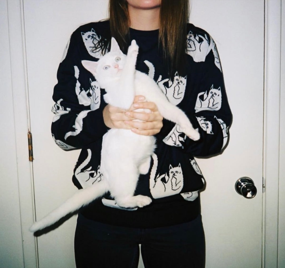 Someone in a RIPNDIP Lord Nermal sweater holding a white kitten
